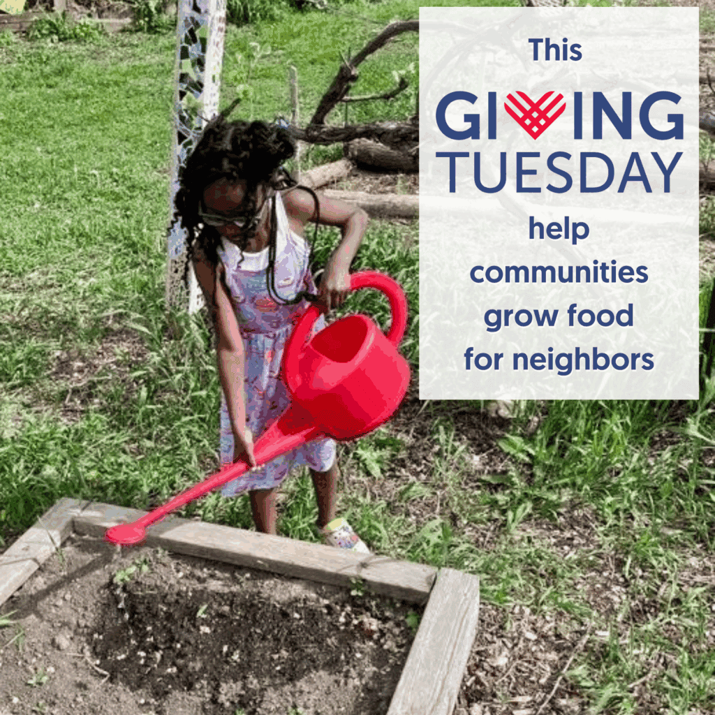 A child watering plants in the garden with a graphic that says "this giving Tuesday help communities grow food for neighbors"