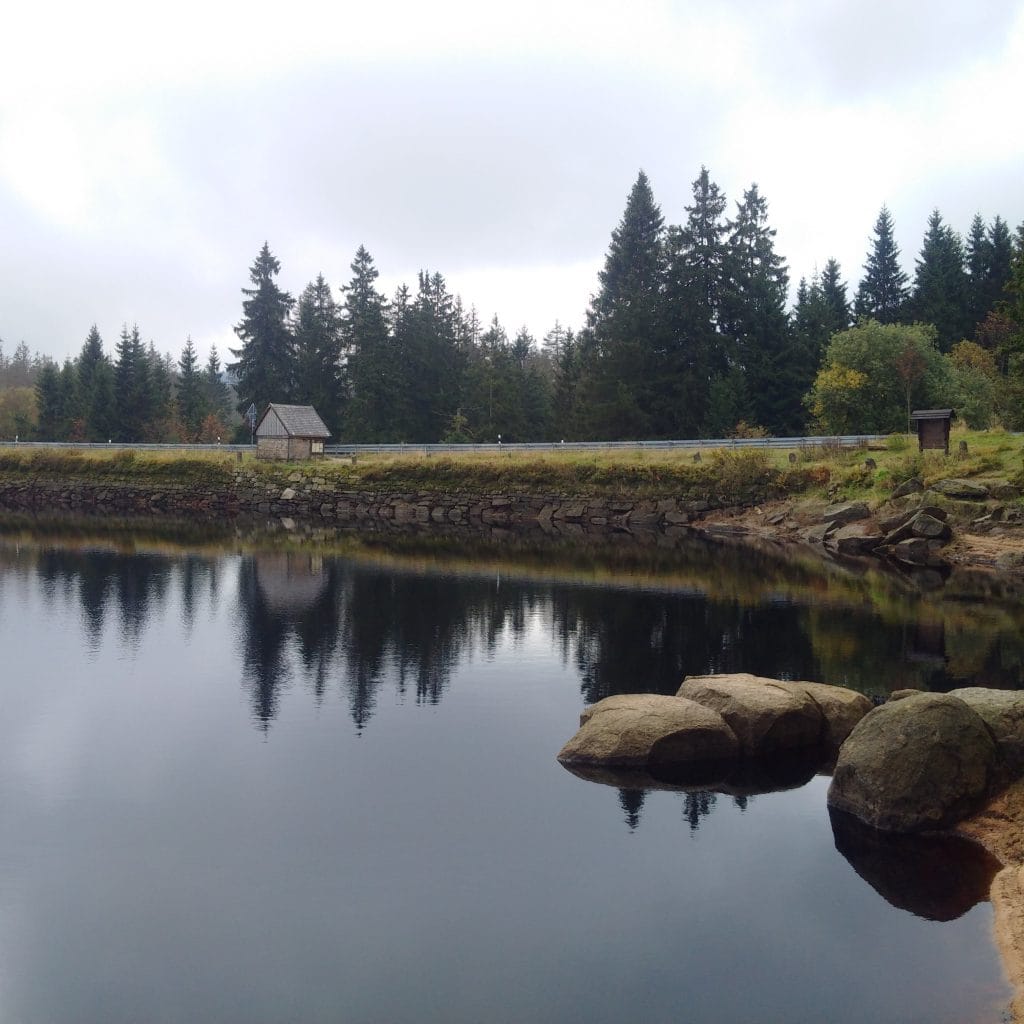 Oderteich im Herbst 2017