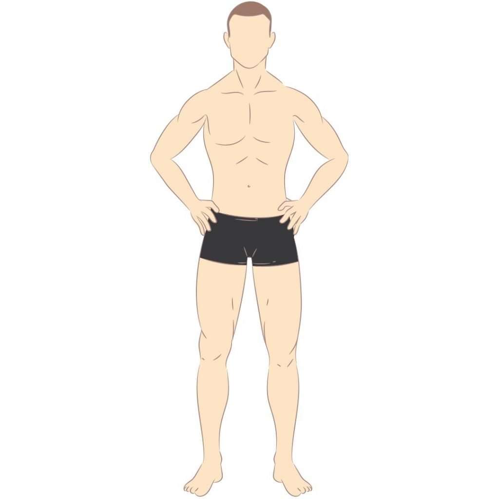 Mesomorphs tend to be athletic and can both gain and lose weight relatively easily