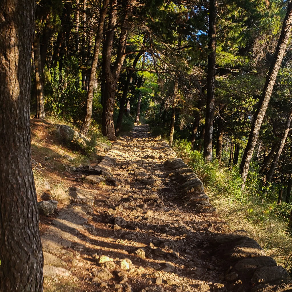 Starting section of Mount Srd Trail