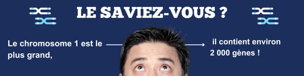 Image informative avec un élève regardant vers le haut sous le titre « Le saviez-vous ? », illustrant une donnée clé sur le caryotype : le chromosome 1, le plus grand des chromosomes dans un caryotype humain, contient environ 2 000 gènes. Une manière visuelle de renforcer la compréhension de la définition du caryotype et de son importance dans l’étude des caryotypes humains.  