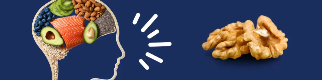 Illustration d’une tête remplie d’aliments qui aident à bien nourrir son cerveau pendant les bonnes vacances : avocat, saumon, noix, myrtilles et amandes, parfaits pour stimuler le cerveau d’un enfant hypersensible durant les vacances scolaires 2025 grâce à une alimentation saine.