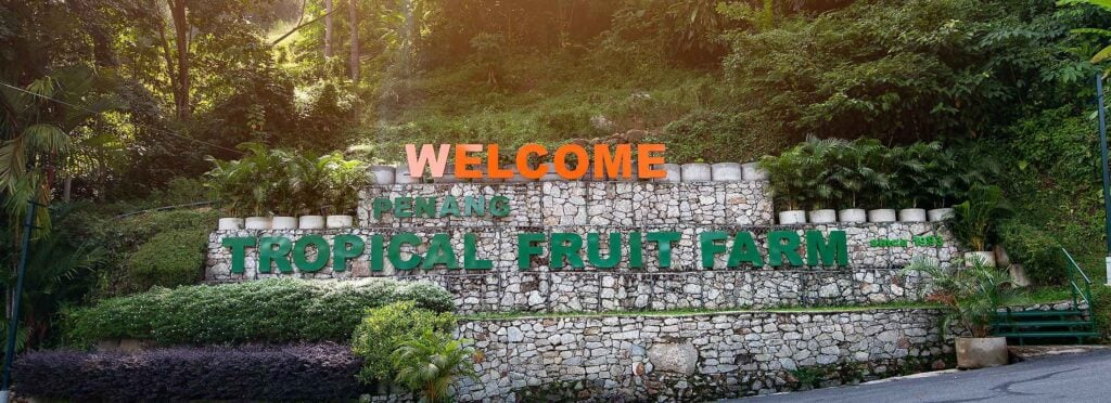 Lawatan Jalan-jalan ke Mercu Tanda Pulau Pinang: Meneroka Warisan Bandar 6 ladang buah tropika di pulau pinang
