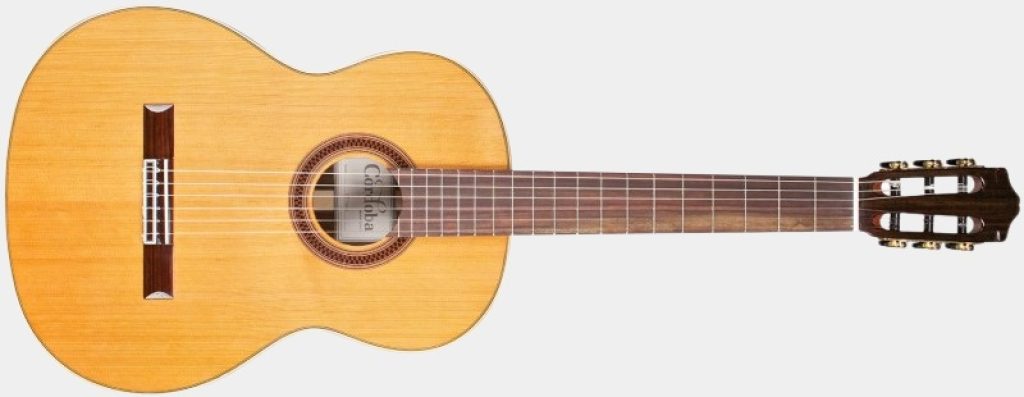 présentation de face de la guitare Flamenco negra F7
