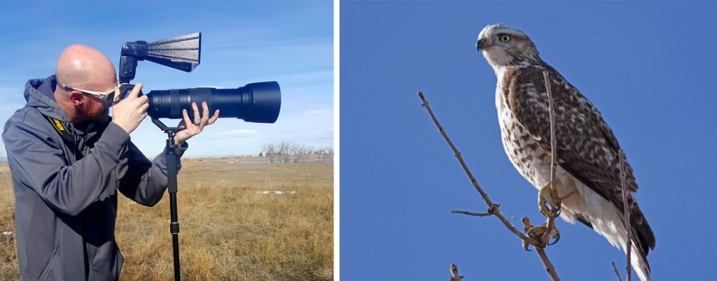 Buddy using a telephoto lens taking photos of a hawk at Rocky Mountain Arsenal