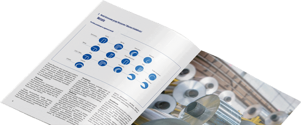 Raporty finansowe i roczne