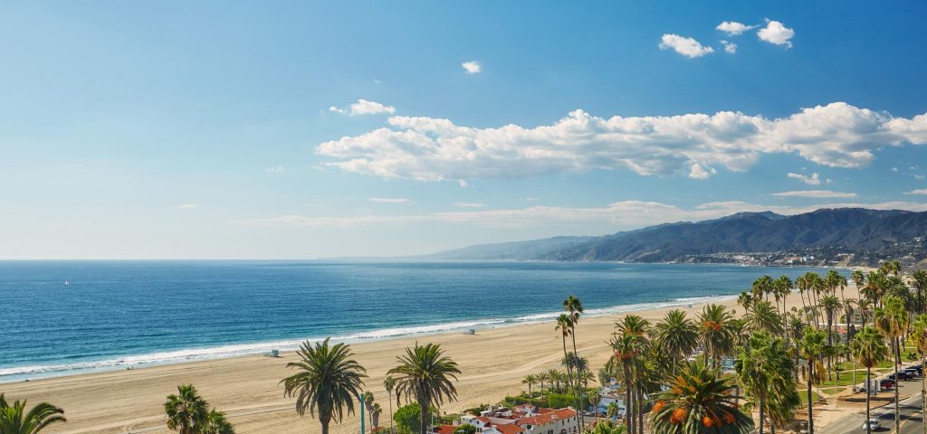 birds eye view of ocean, sandy beach, palm trees and blue mountains in background