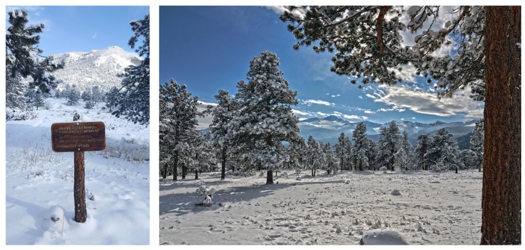 Beaver Meadows trail covered in snow