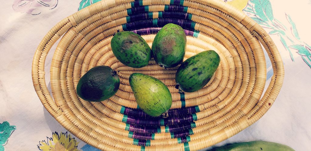 five feijoa fruit sit in a basket from Tanzania