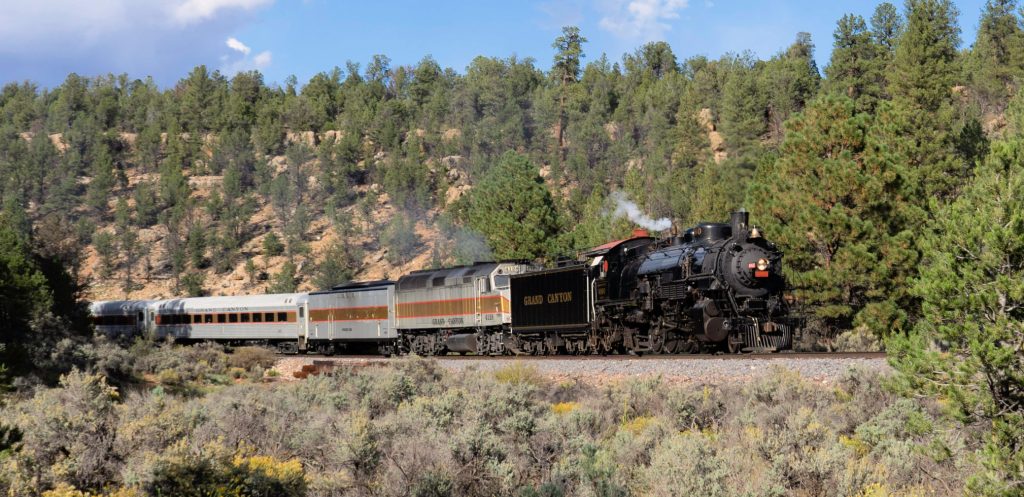 black old fashioned locomotive with white steam billowing from stack pulls passenger train through Ponderosa pines and Arizona scenery on its way from Williams AZ to Grand Canyon