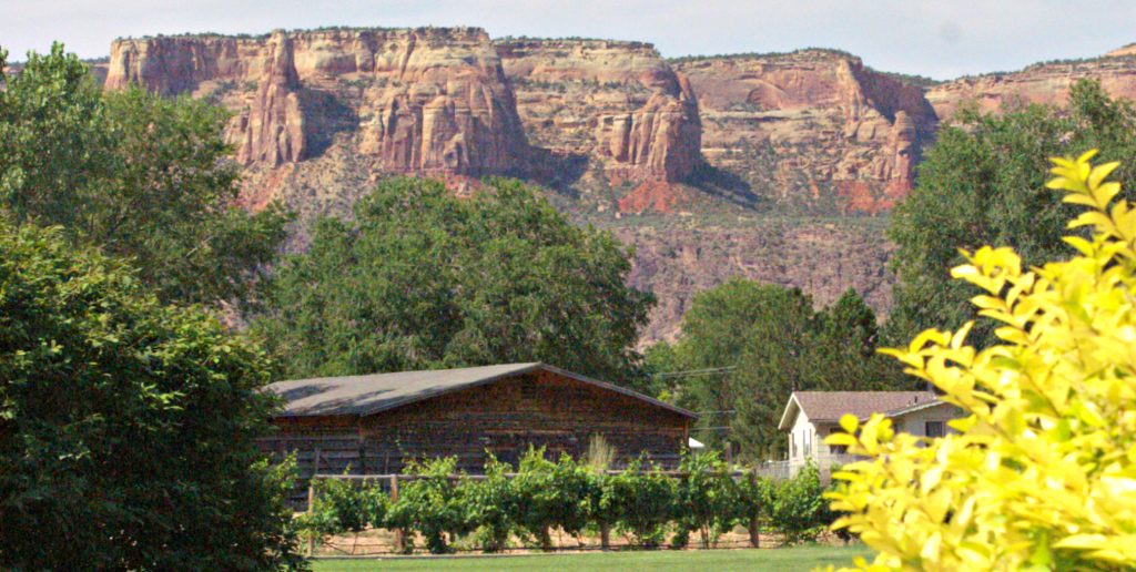 red rock cliffs seem to hang above green lawn with grape vines along fence line