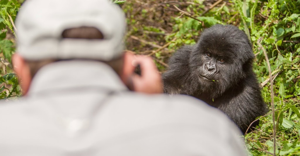 ATI-Rwanda-Mountain-Gorillas-Trek11