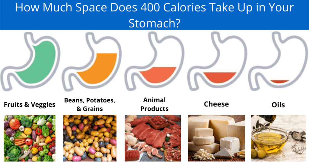 Herbivore Muscle Calorie Density Graphic