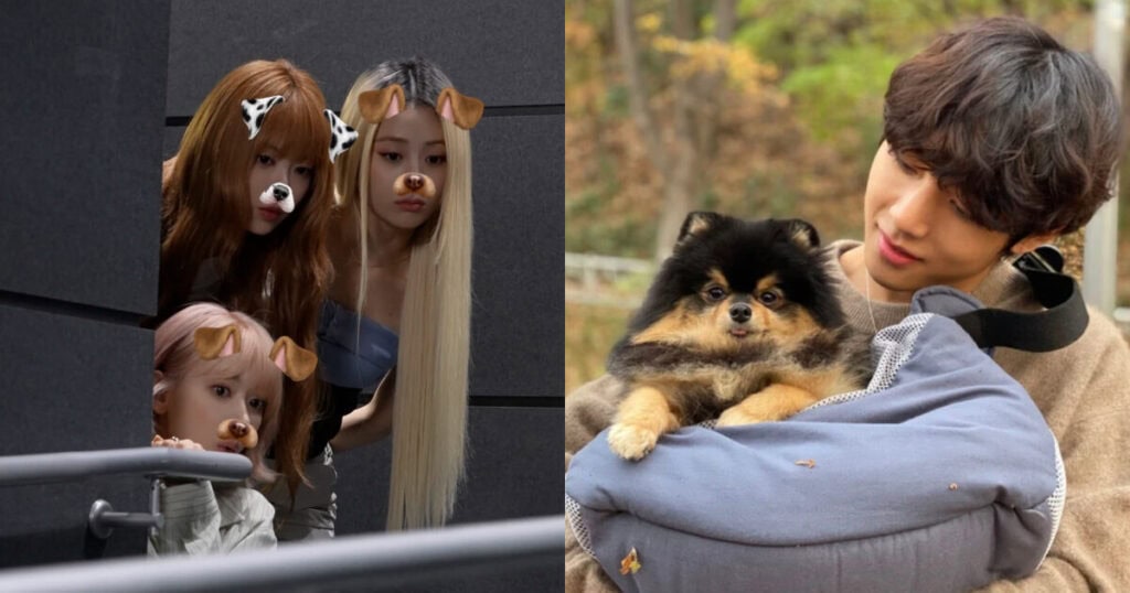 Anjing BTS V Jadi Bintang Tamu di Video Terbaru LE SSERAFIM?