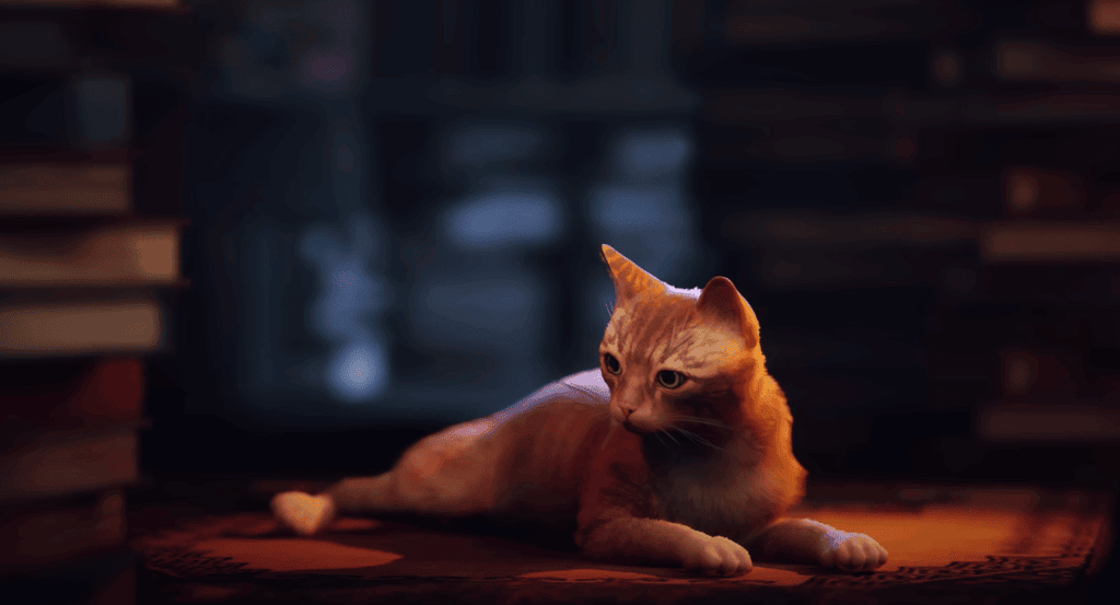 A little kitty