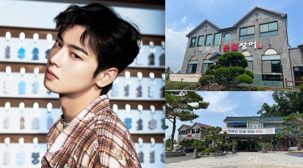 Hindari Pajak Rp237 Miliar, Perusahaan Cha Eun Woo Diduga Beralamat di Restoran Belut