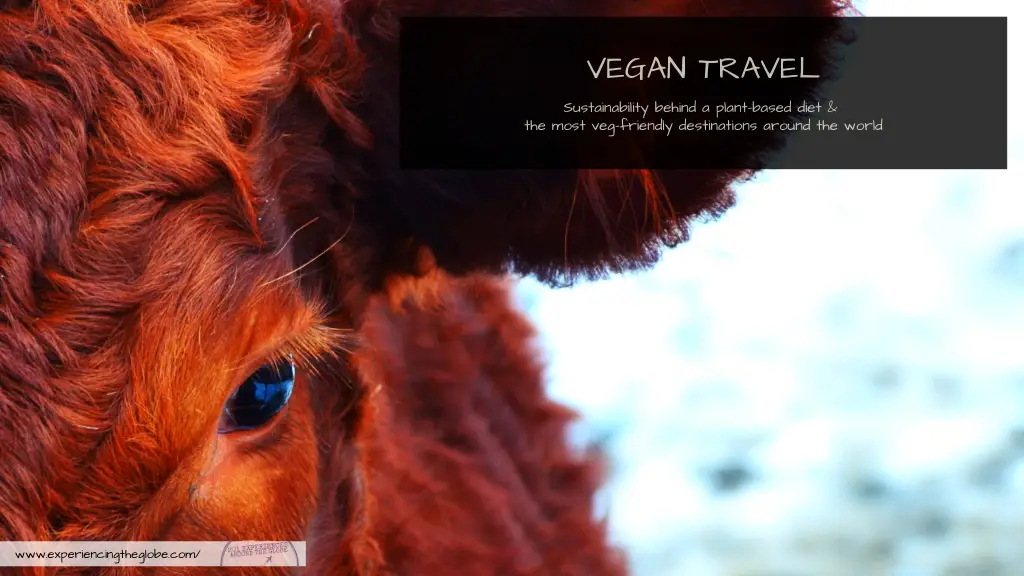 A plant-based diet is essential for sustainability, and vegan travel is easier with this list of the most vegetarian and vegan friendly places in the world – Experiencing the Globe #VeganTravel #Sustainability #PlantBasedDiet #Veganism #Vegetarianism #FriendsNotFood #SustainableTravel #SustainableTourism #SustainableTraveler #SustainableBehavior #Wanderlust