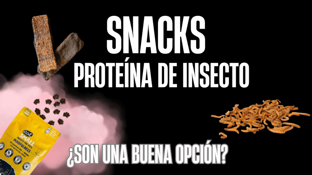 snacks insectos