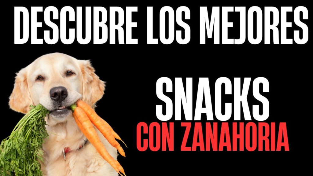 Los mejores snacks de zanahoria para perros