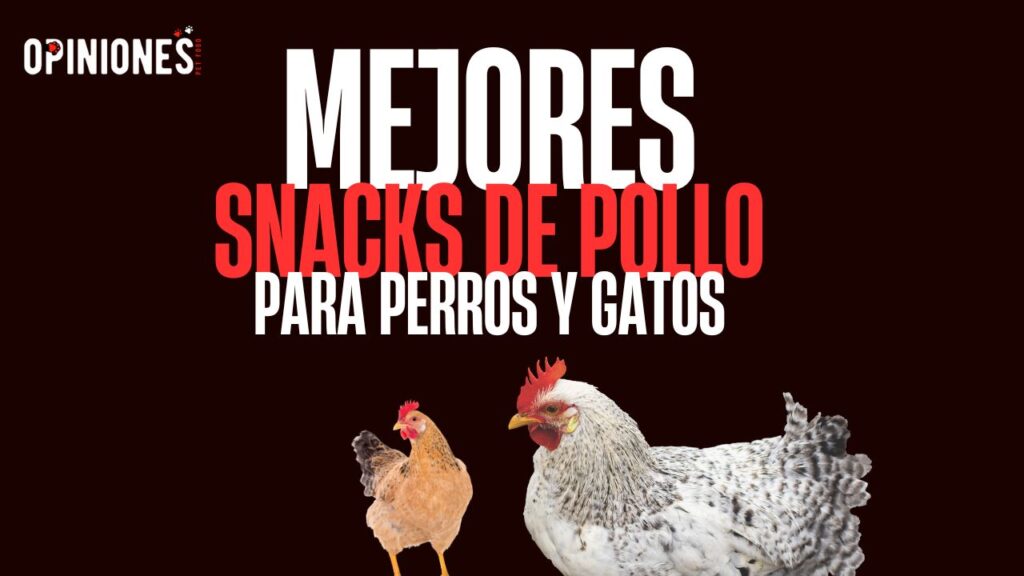 Los mejores snacks de pollo para perros y gatos