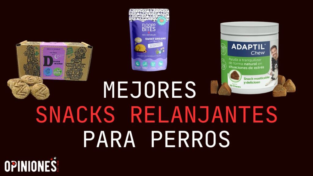 Los mejores snacks relajantes para perros