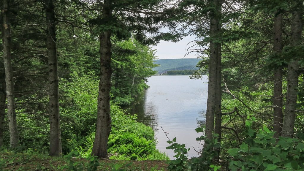 Looking out onto Freshwater Lake during one of our hikes in Cape Breton 