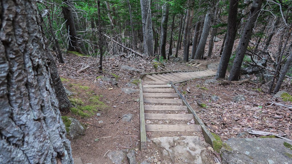 The stairs that are part of the Freshwater Lake Look-off trail