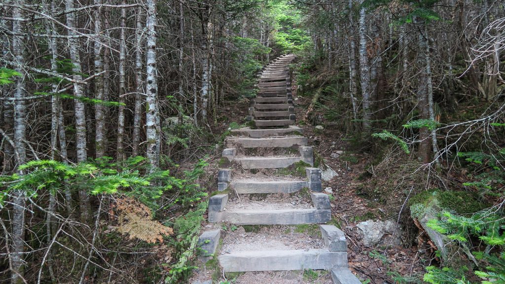 There were many steps through the woods to get to the turnaround point