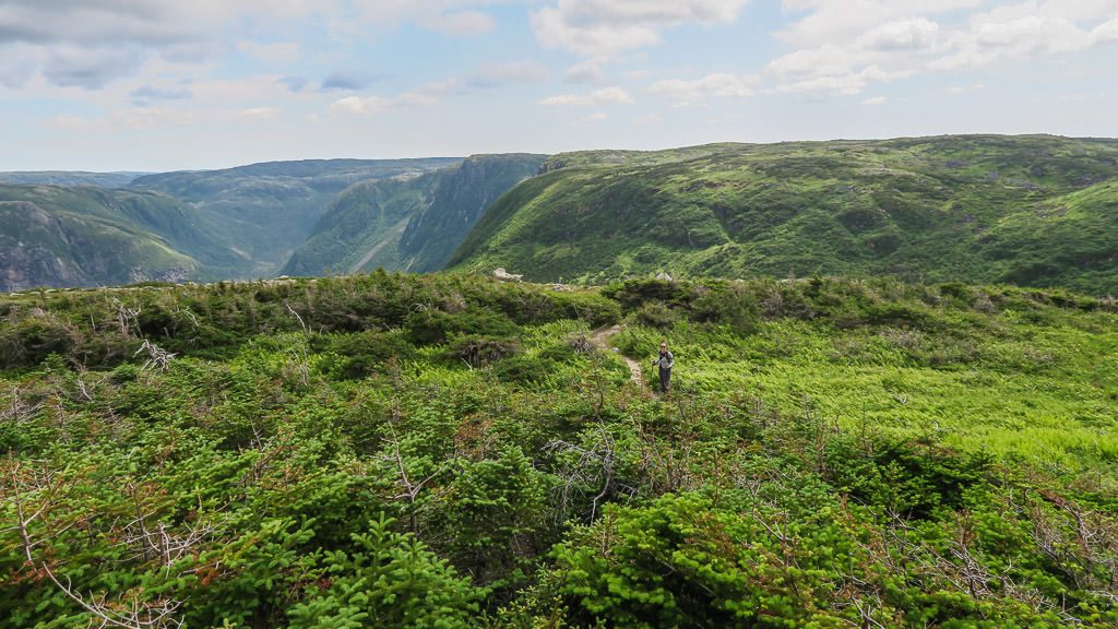 Brooke hiking the narrow trail headed back down Gros Morne Mountain