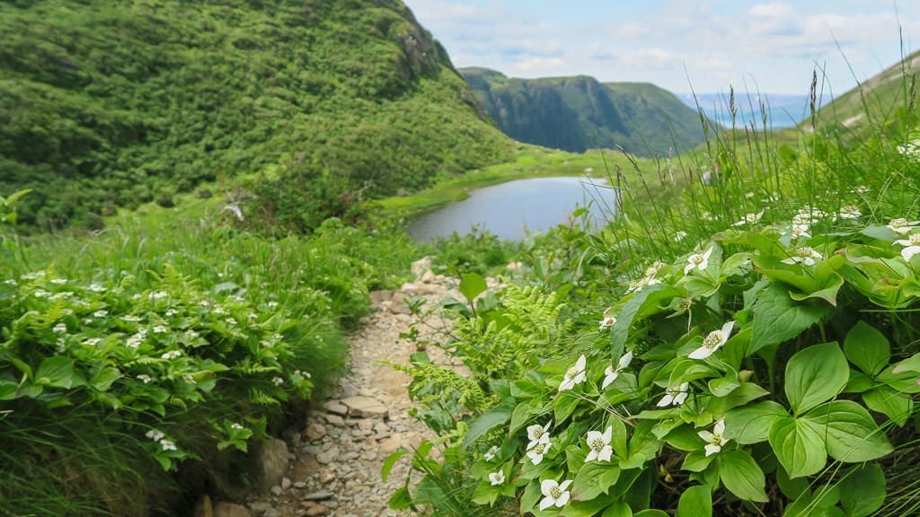 Our way down from Hiking Gros Morne Mountain we came across this beautiful lake