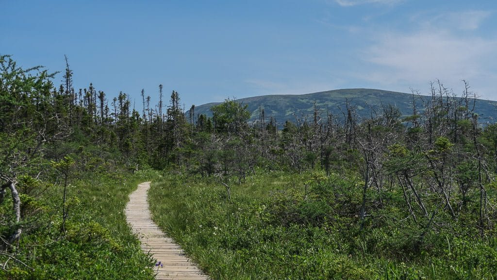 Boardwalk trail to Baker's Brooke Falls 