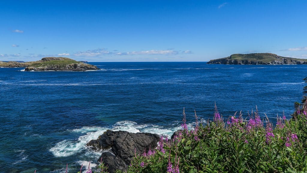 Looking out onto Puffin Island in Newfoundland