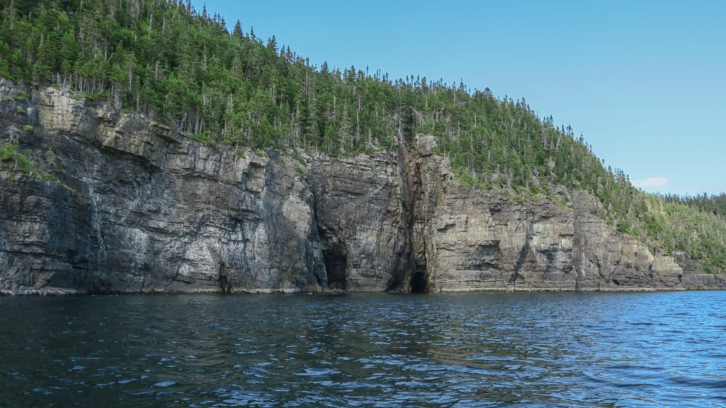 Looking towards the Dungeon on the side of a cliff that is covered in trees