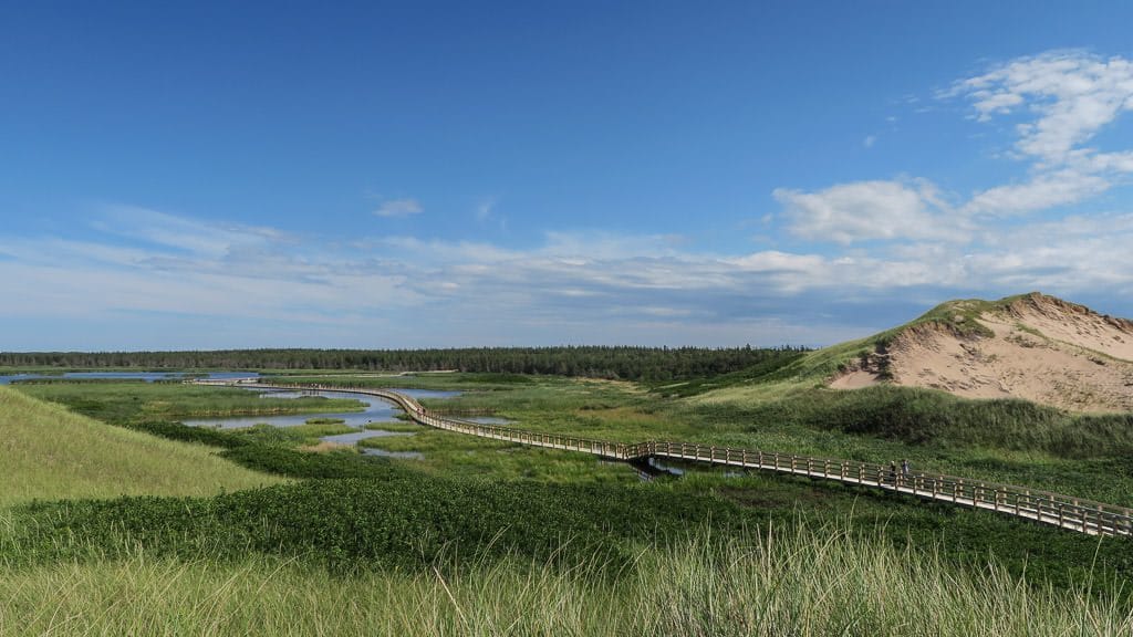 greenwich dunes prince edward island wooden boardwalk