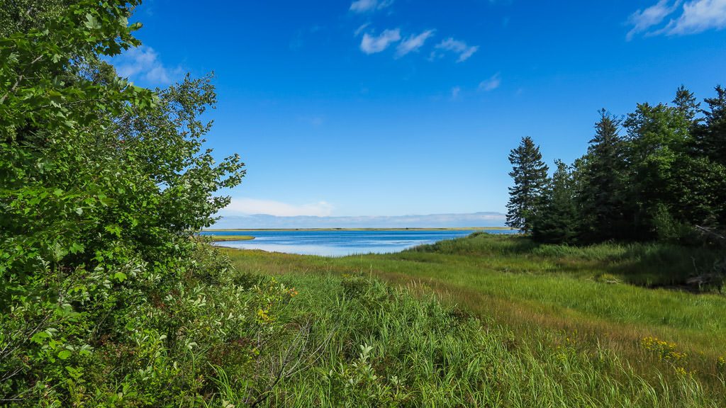 Green grassy field looking out towards the water in Kouchibouguac National Park