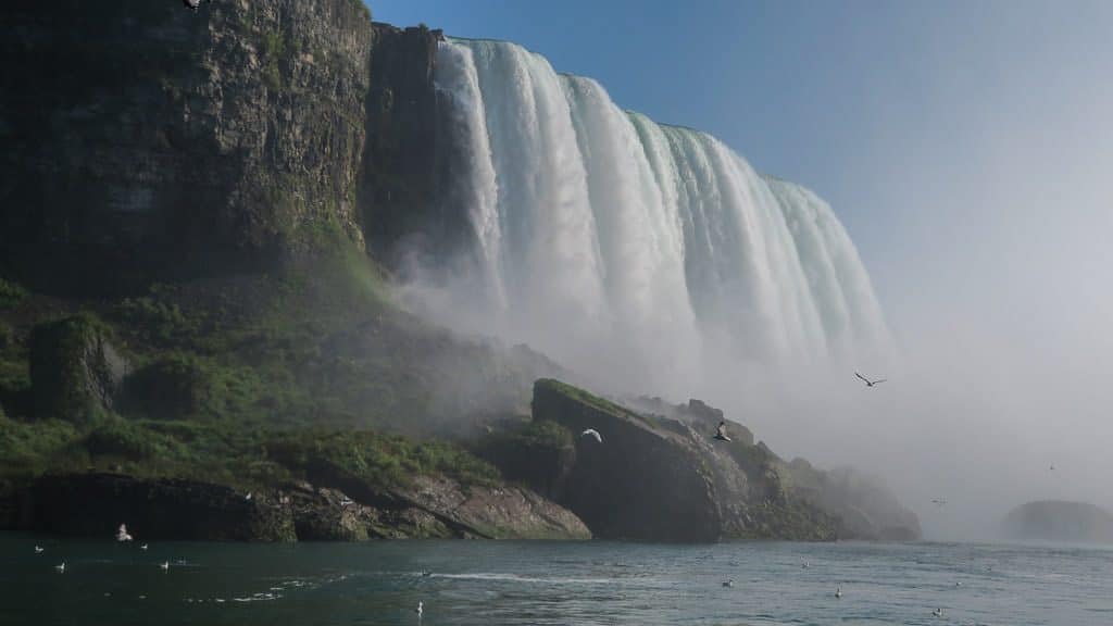 Niagara Falls from the side with birds flying around as seen from the water on our Hornblower Niagara Cruise