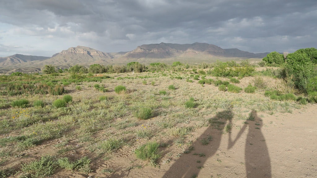 Shadow of Brooke and Buddy holding hands on a gloomy day in the desert, one of the many places to visit in new mexico