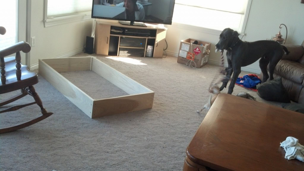 I was trying to get an action shot of Denny and Tobi here... they weren't having it...