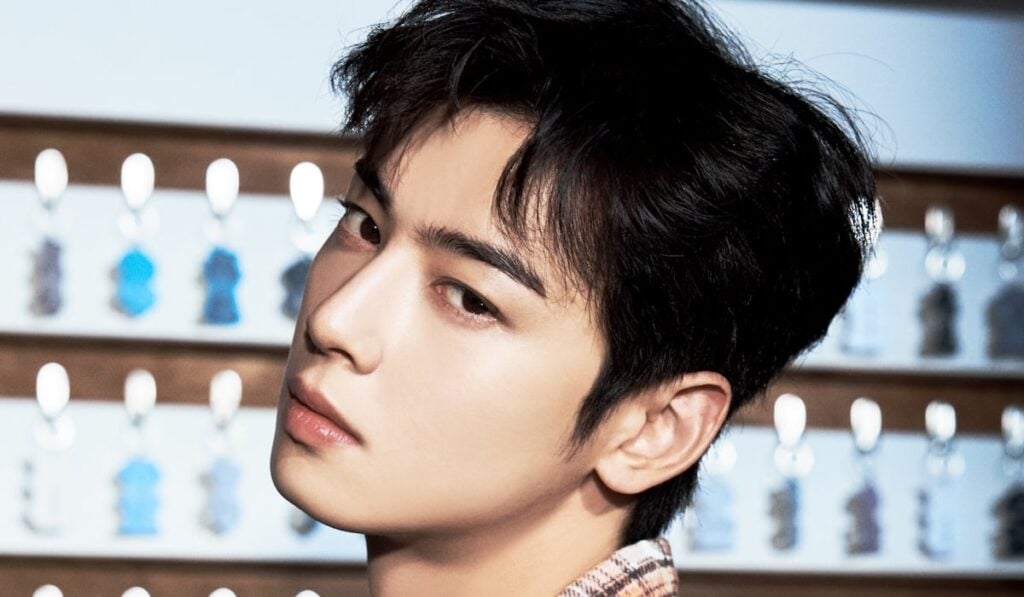 Cha Eun Woo dan Drama Pajak: Ada Apa Sih?