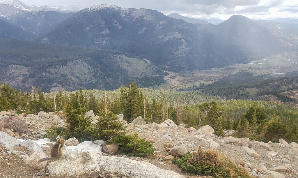 views of rocky mountain national park from trail ridge road in spring