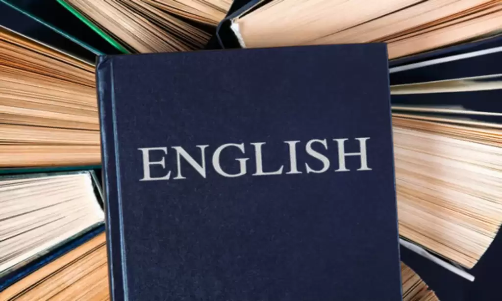 penerjemah buku bahasa Inggris