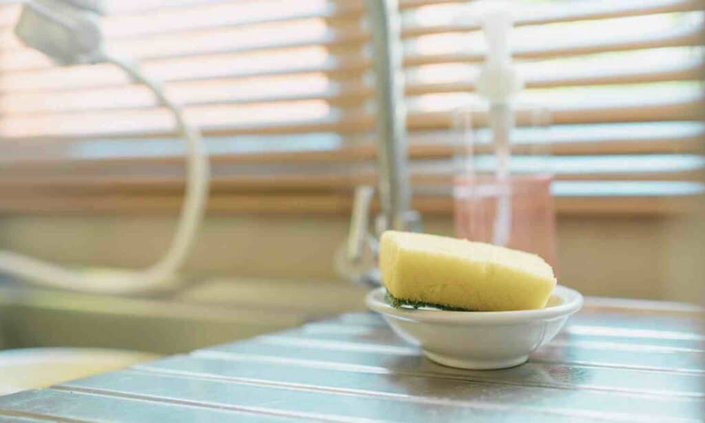 sponge sitting by sink