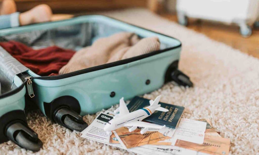 travel must-haves