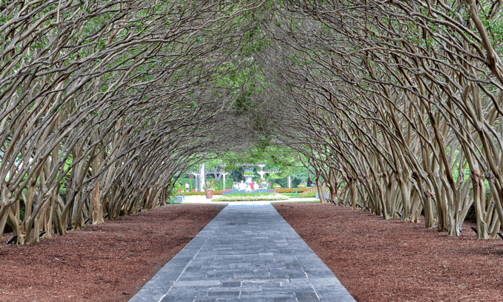 Dallas Arboretum