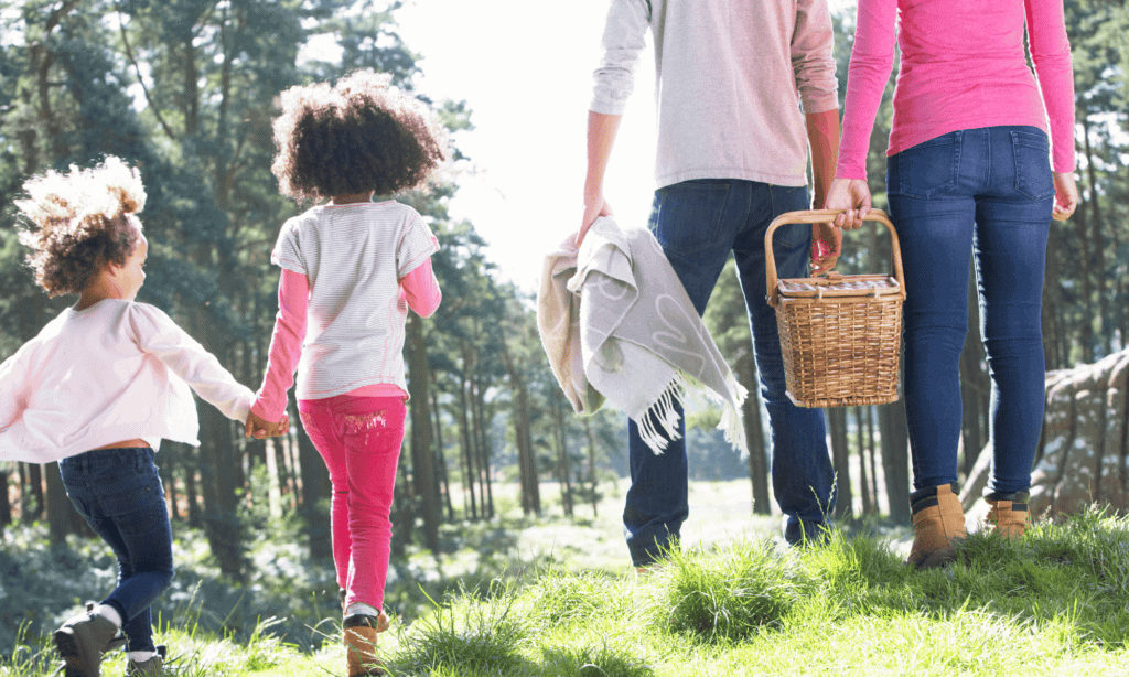 family picnic