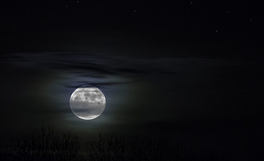 Even Vampires Need Estate Plans by Austin Estate Planning Lawyer