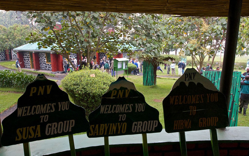 ATI-Rwanda-Mountain-Gorillas-Trek7