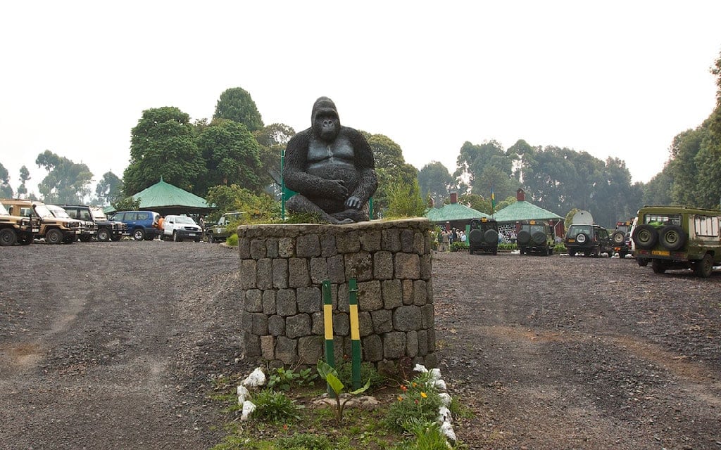 ATI-Rwanda-Mountain-Gorillas-Trek8