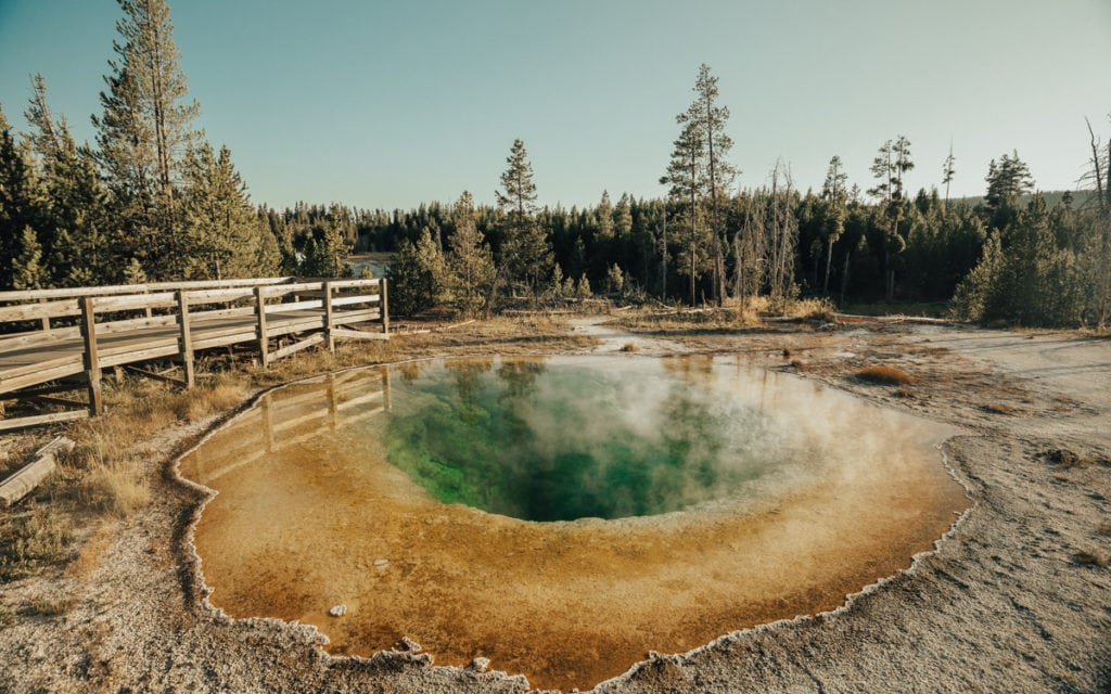 Morning Glory Pool in Yellowstone National Park