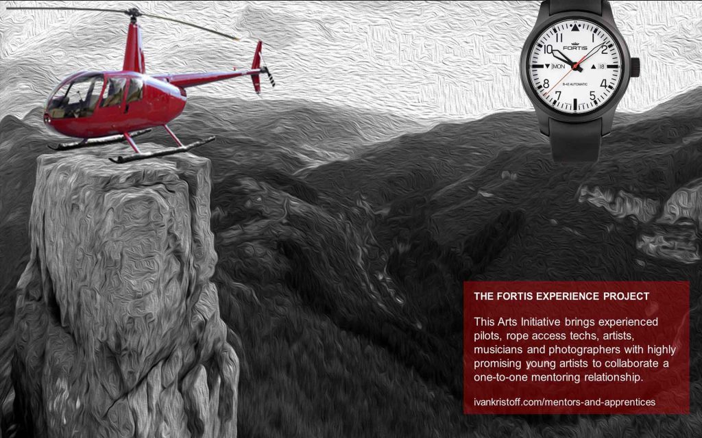 Invitation to the Fortis Experience Project